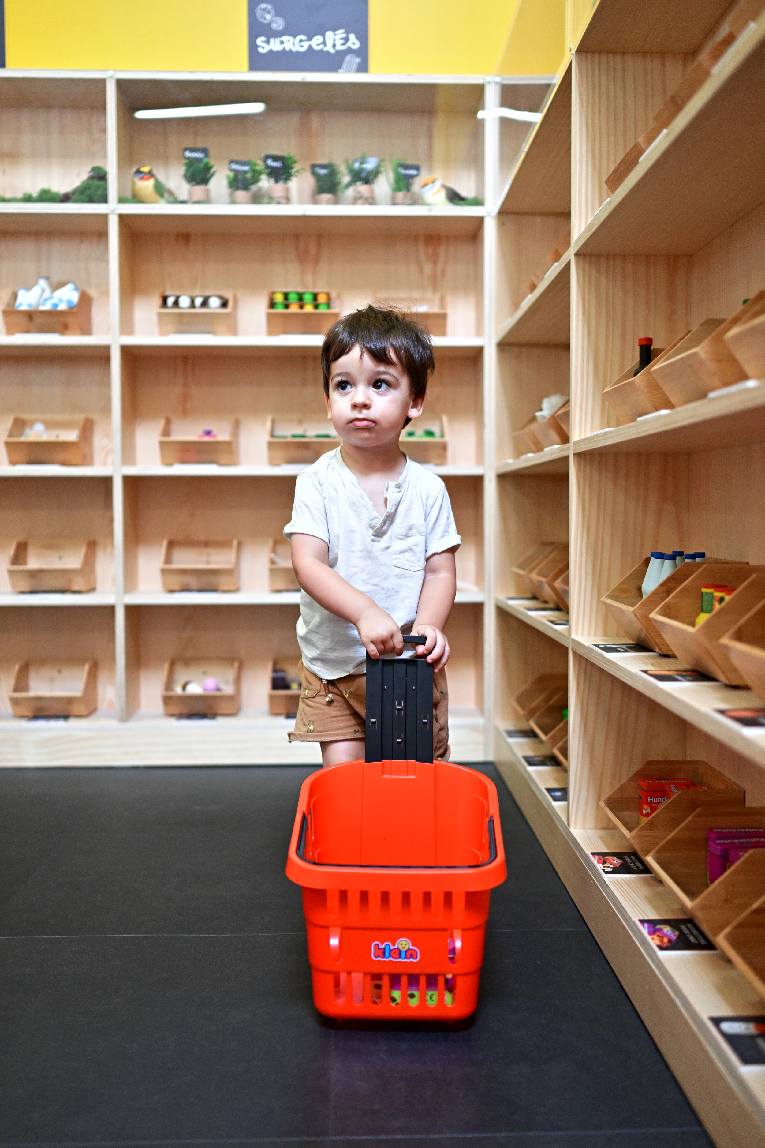 Enfant tirant un panier à roulettes dans le supermarché de Palomano Toulon
