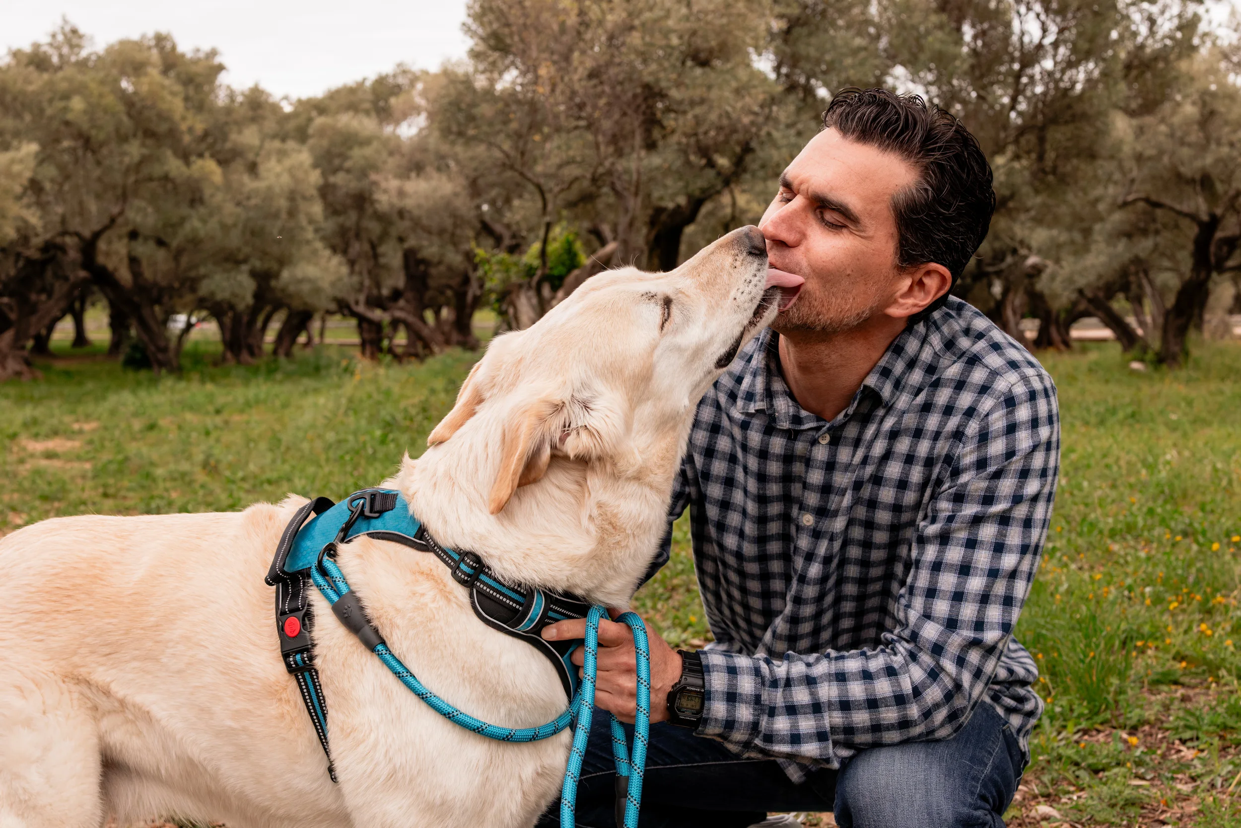 Homme complice avec son chien pendant une séance famille dans une oliveraie