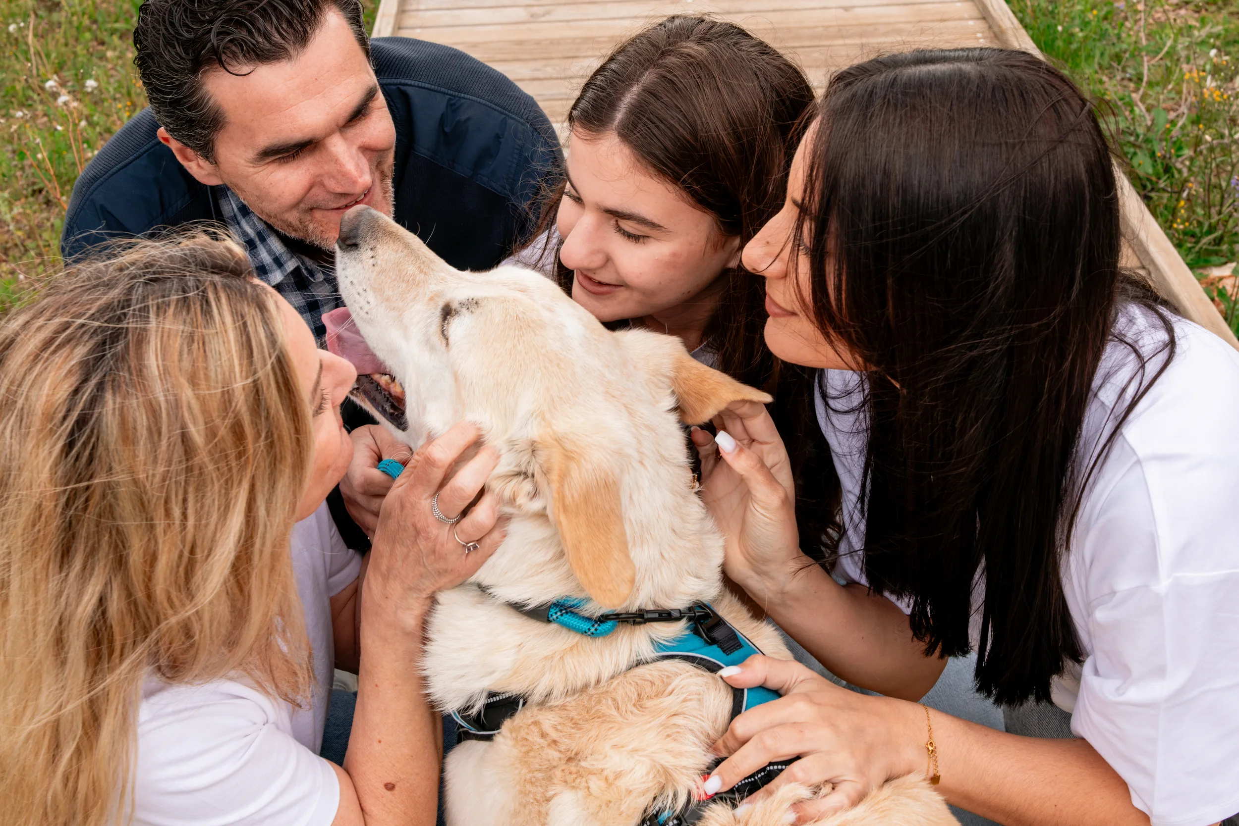 Famille réunie autour de son chien pendant une séance dans une oliveraie à La Farlède